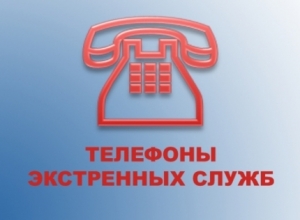 Телефоны, которые нужно знать каждому
