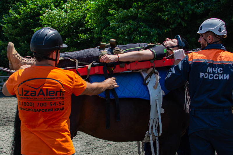 Сочинские спасатели обучают волонтёров поисковым работам на лошадях
