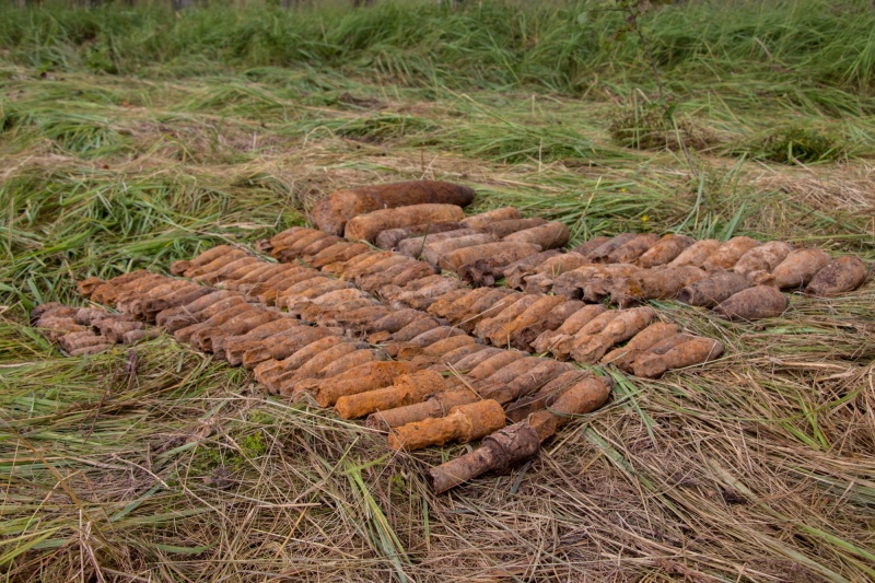 Специалисты-пиротехники МЧС России в Ржевском районе обнаружили свыше 100 взрывоопасных предметов
