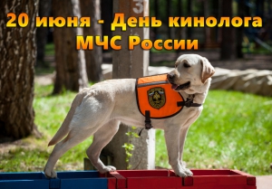 Кинологическая служба МЧС России отмечает годовщину своего создания