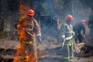 В Новосибирской области за неделю ликвидированы более 70 очагов природных пожаров