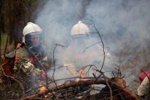 Пожарные отстояли от огня два населенных пункта в Новосибирской области