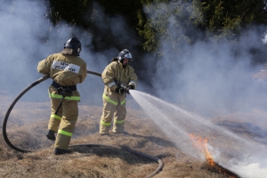 Пожарные спасли садовое общество от перехода очередного пала травы