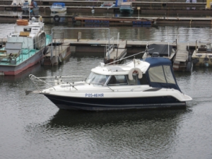 Как управлять судном в шторм