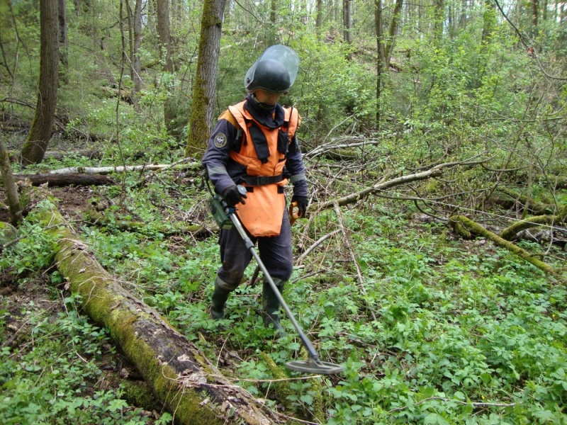 За год пиротехнические подразделения МЧС России обнаружили и обезвредили свыше 40 тыс. взрывоопасных предметов