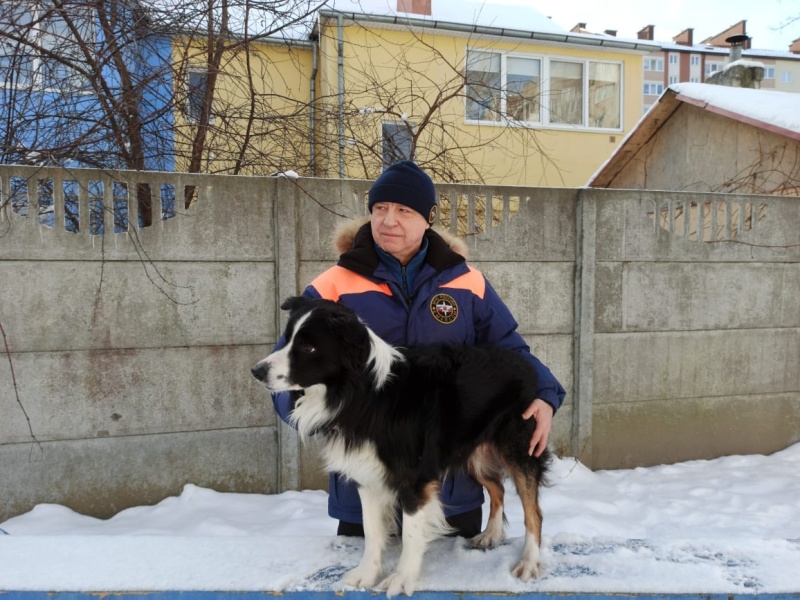 Служебная собака МЧС России получила награду на церемонии «Лучшие собаки России»