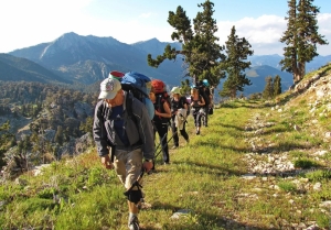 Депутаты Госдумы намерены изучить проблему туристической безопасности