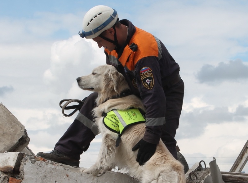 20 июня поисковая кинологическая служба МЧС России  отмечает 25-летие