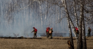 МЧС предупреждает о пожароопасной погоде в двух районах Новосибирской области