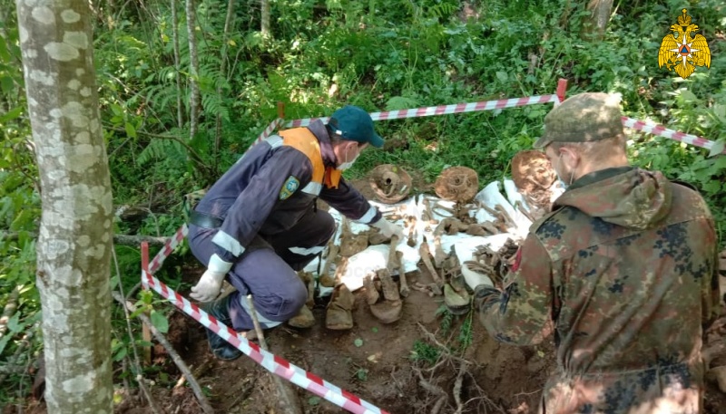 За неделю пиротехники МЧС России обнаружили более сотни взрывоопасных предметов и останки 9 красноармейцев в полях Тверской области
