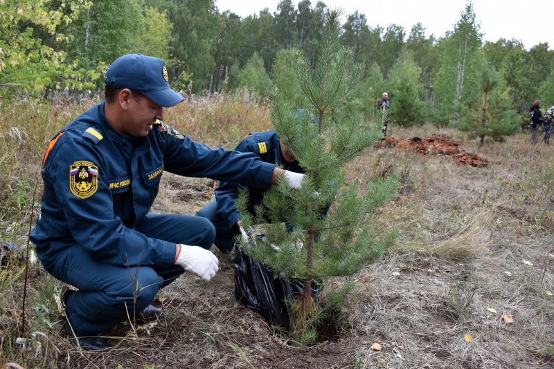 Сотрудники чрезвычайного ведомства приняли участие во всероссийском субботнике «Зеленая Россия»