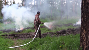 В Новосибирской области возобновились палы травы. МЧС призывает жителей к осторожности с огнем