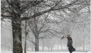 Внимание! В регионе ожидается дождь, мокрый снег и усиление ветра!