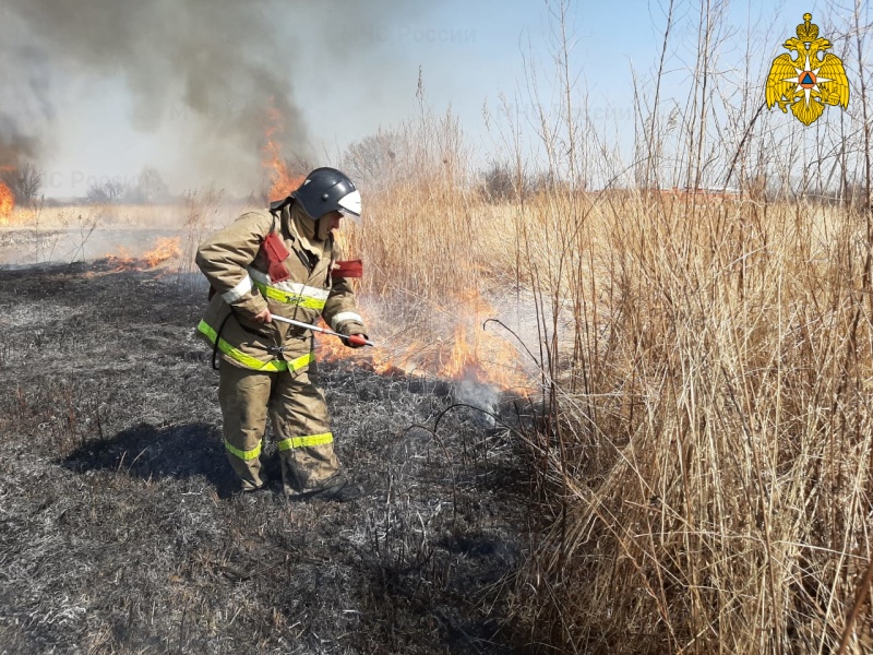 Хабаровские надзорные органы МЧС России привлекли к ответственности мужчину за поджог травы