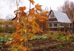 Подготовка к осенне-зимнему пожароопасному периоду. Специалисты МЧС России напоминают правила пожарной безопасности