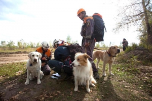 В лесах Новосибирской области спасатели разыскали 15 потерявшихся грибников