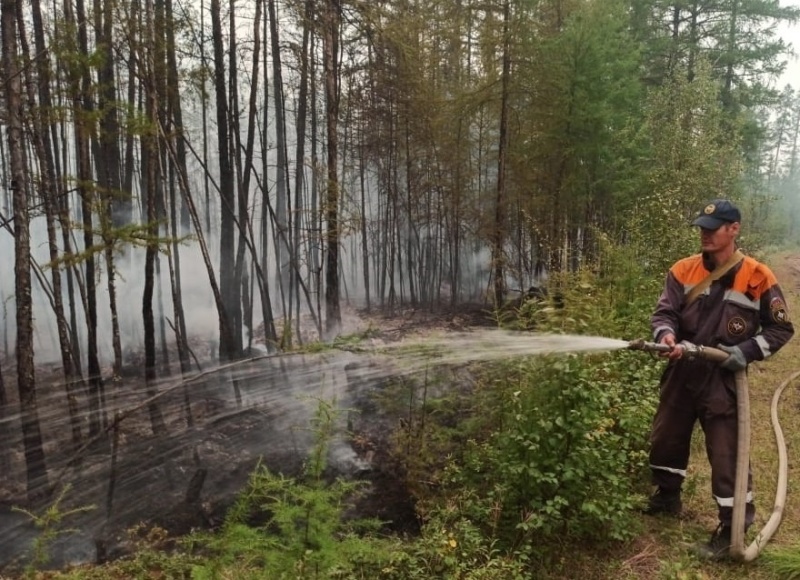 В Якутии за сутки ликвидировано девять природных пожаров