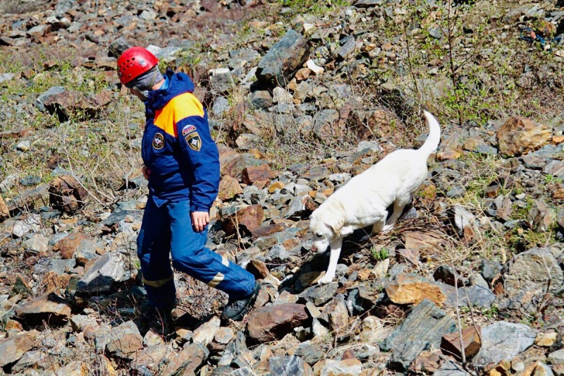 В Северной Осетии проходят всероссийские сборы по горно-лавинной подготовке спасателей–кинологов