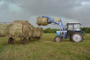 Готовь сено летом. И соблюдай правила безопасности