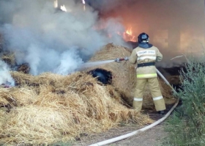 При подготовке сена на зиму помните о правилах пожарной безопасности