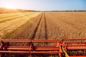 Вопросы пожарной безопасности при сборе урожая обсудили в Новосибирской области