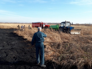 На территории Новосибирской области не допущено распространение ландшафтного пожара на населенный пункт (фото)
