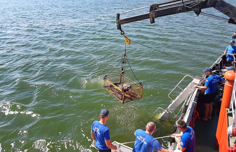 В Балтийском море завершился очередной этап разминирования немецкой баржи, затонувшей во время Великой Отечественной войны
