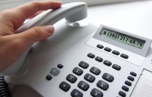 «Прямая линия» по вопросам антикоррупционного просвещения