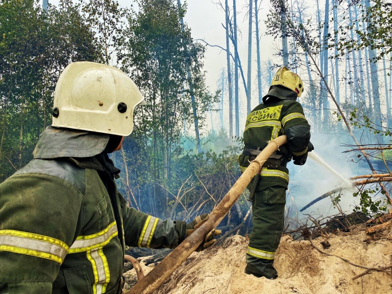 МЧС России круглосуточно продолжает борьбу с природным пожаром в Мордовии