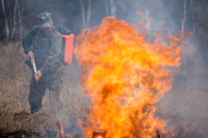 МЧС предупреждает о пожароопасной погоде в Краснозерском районе Новосибирской области