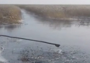 В Новосибирской области организованы поиски двух охотников, пропавших на водоёме