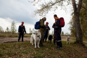 Потерявшиеся грибники найдены