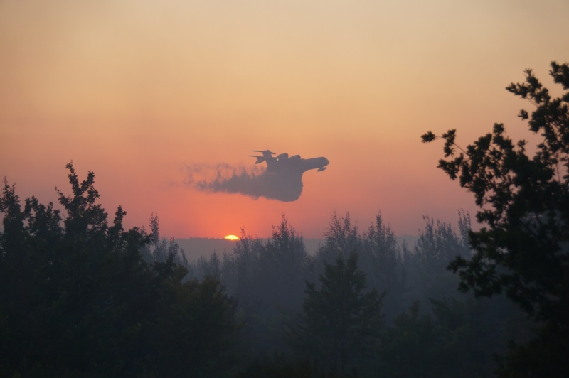 Локализованы природные пожары в Челябинской и Самарской областях